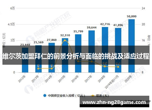 维尔茨加盟拜仁的前景分析与面临的挑战及适应过程