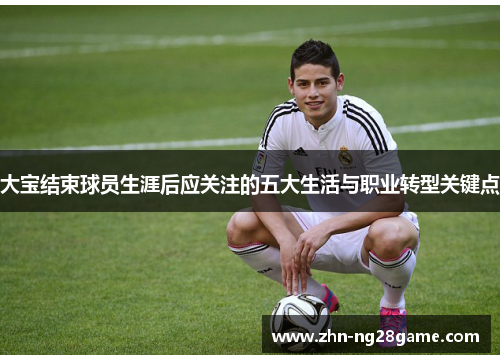 大宝结束球员生涯后应关注的五大生活与职业转型关键点