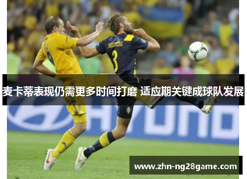 麦卡蒂表现仍需更多时间打磨 适应期关键成球队发展